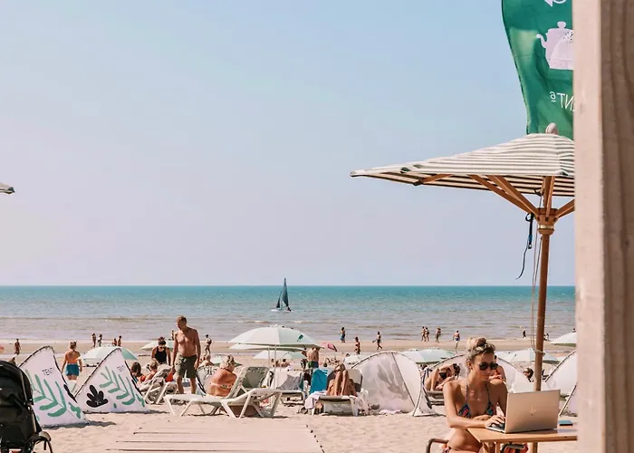 Beachhouse Rina - Free Parking 잔드보르트